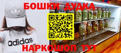 сатива Краснодар