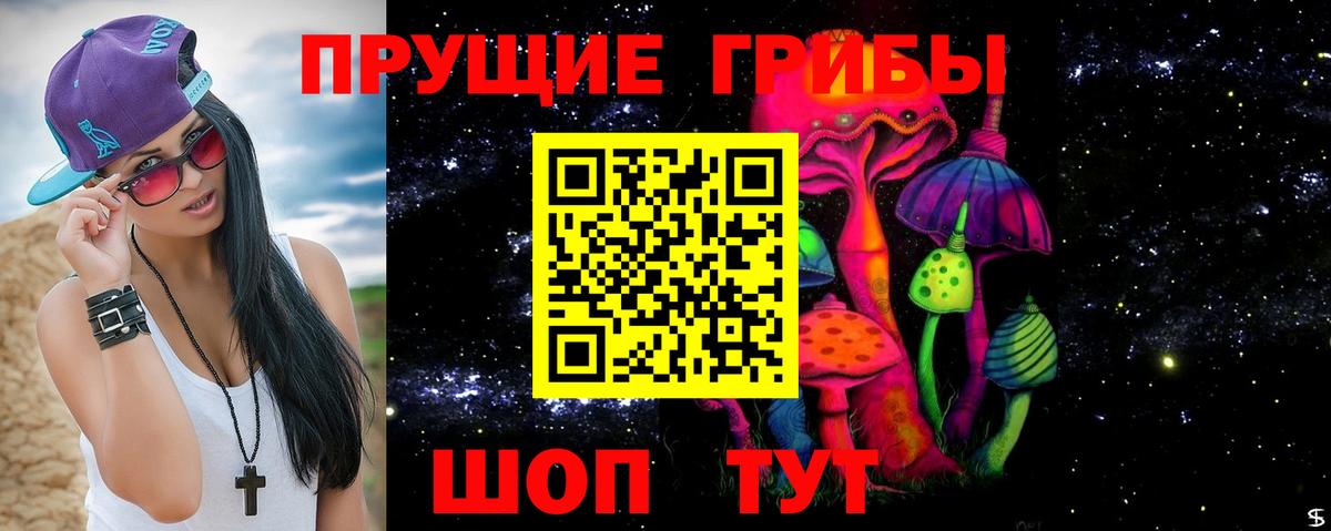 Кировск  Галлюциногенные грибы Psilocybine cubensis  Вход с VPN 